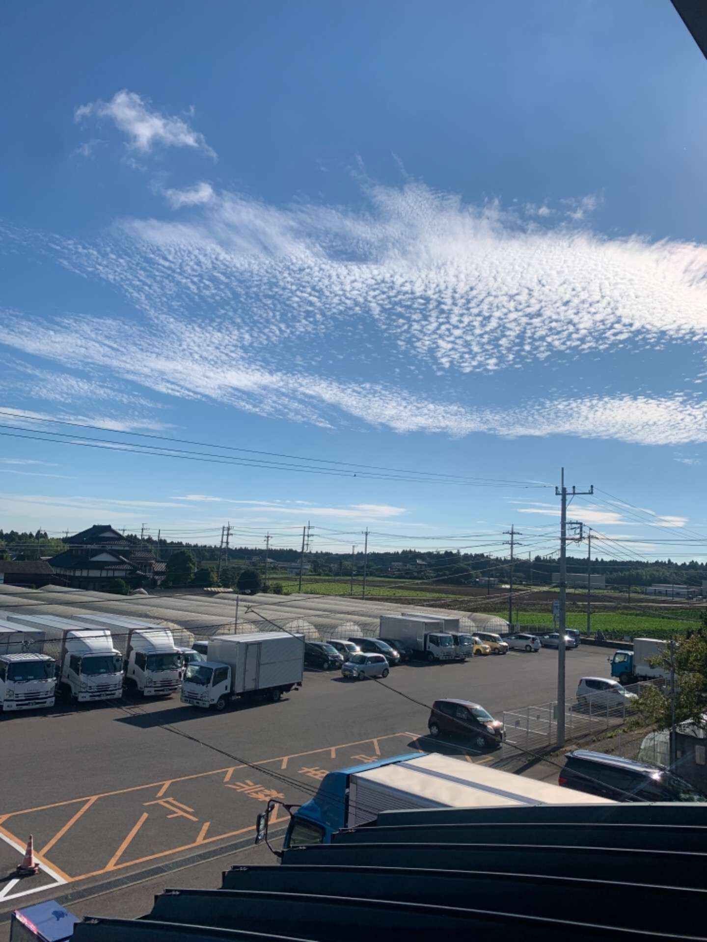 夏らしい朝の雲！　（八街市　運送会社　社員募集）
