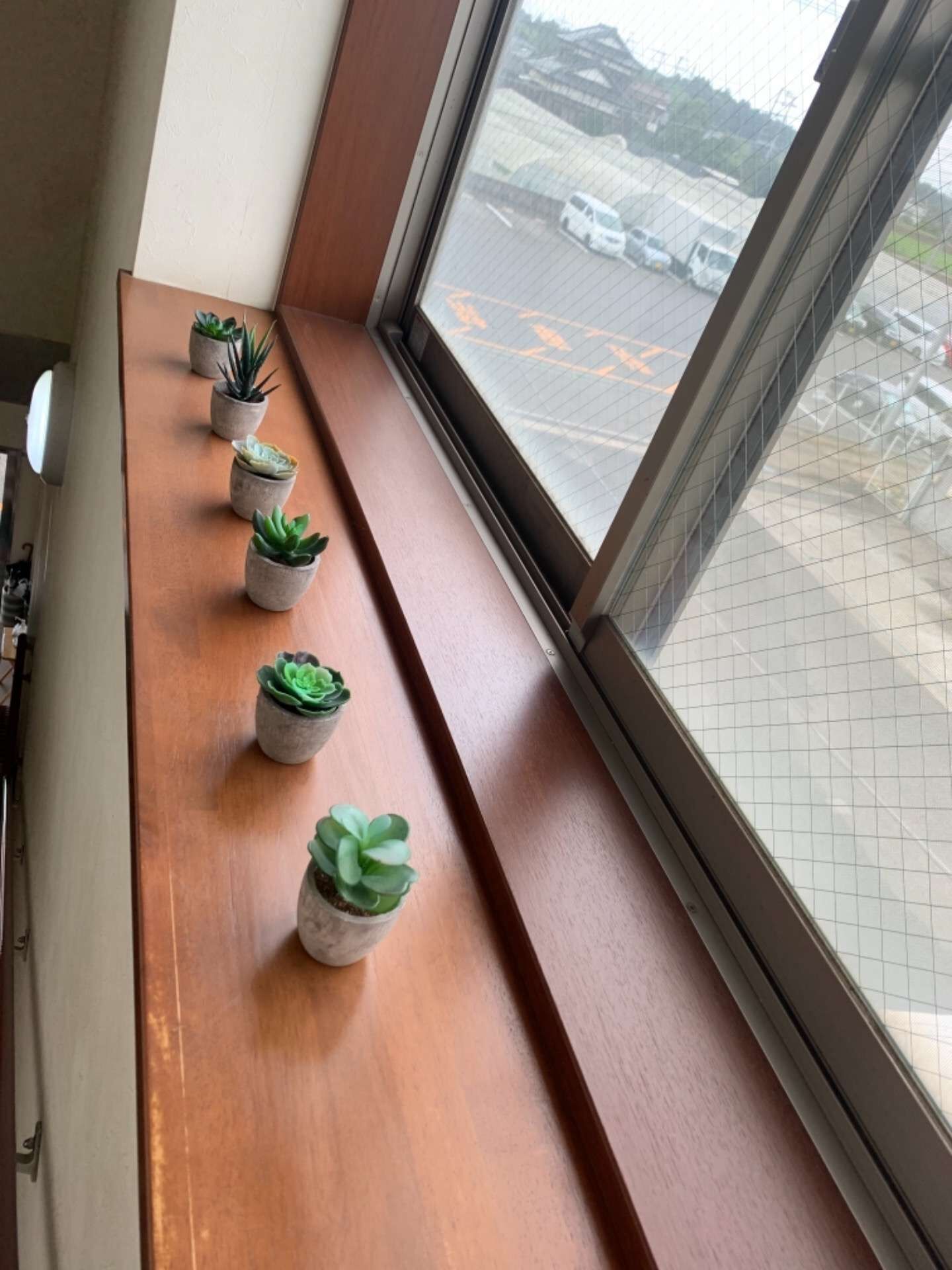 階段上の小さなサボテン！　（八街市　運送会社のアシスタント『助手』募集中）