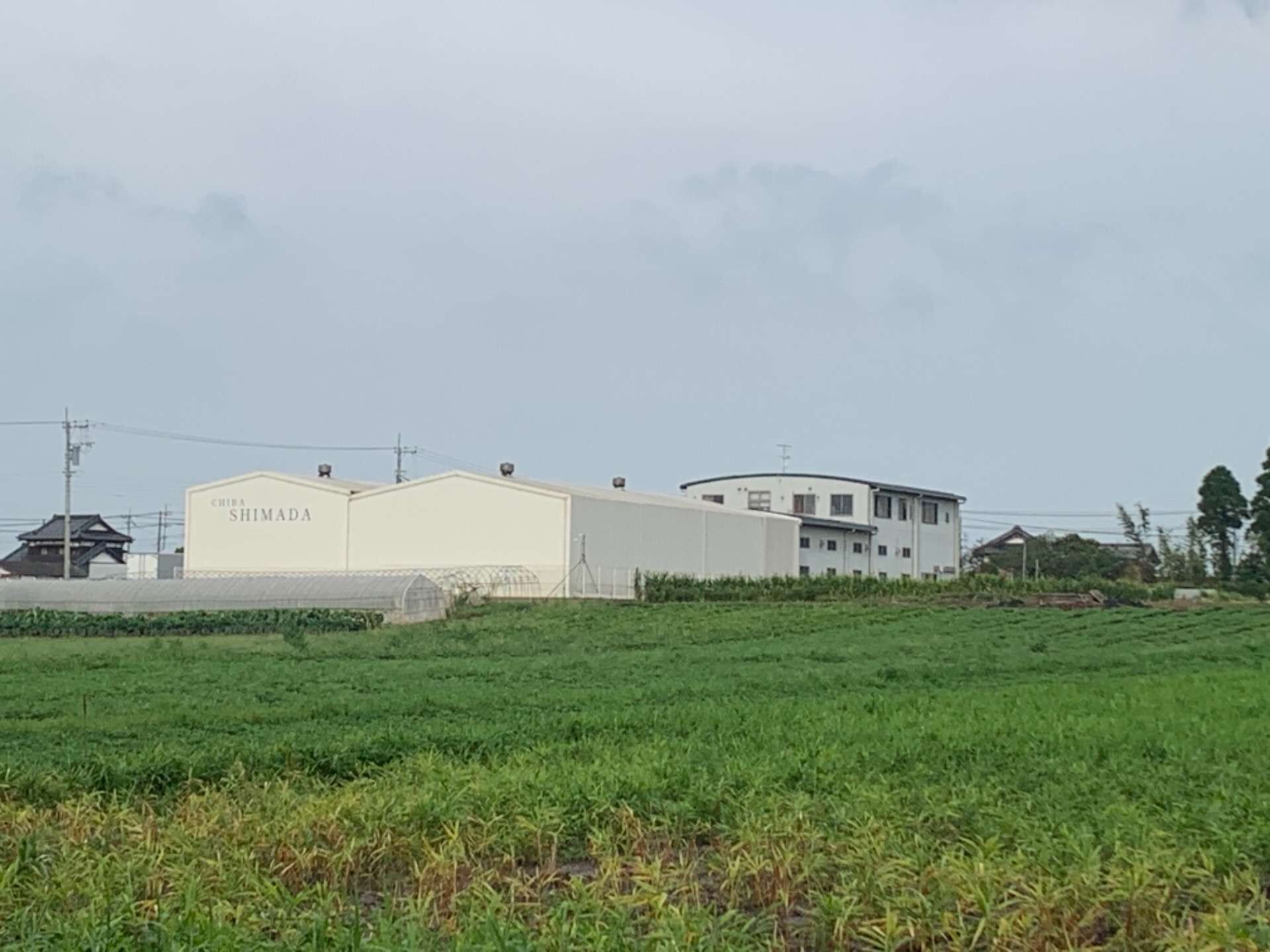 裏側から見た当社！　（配送の手伝い　募集中　八街市）