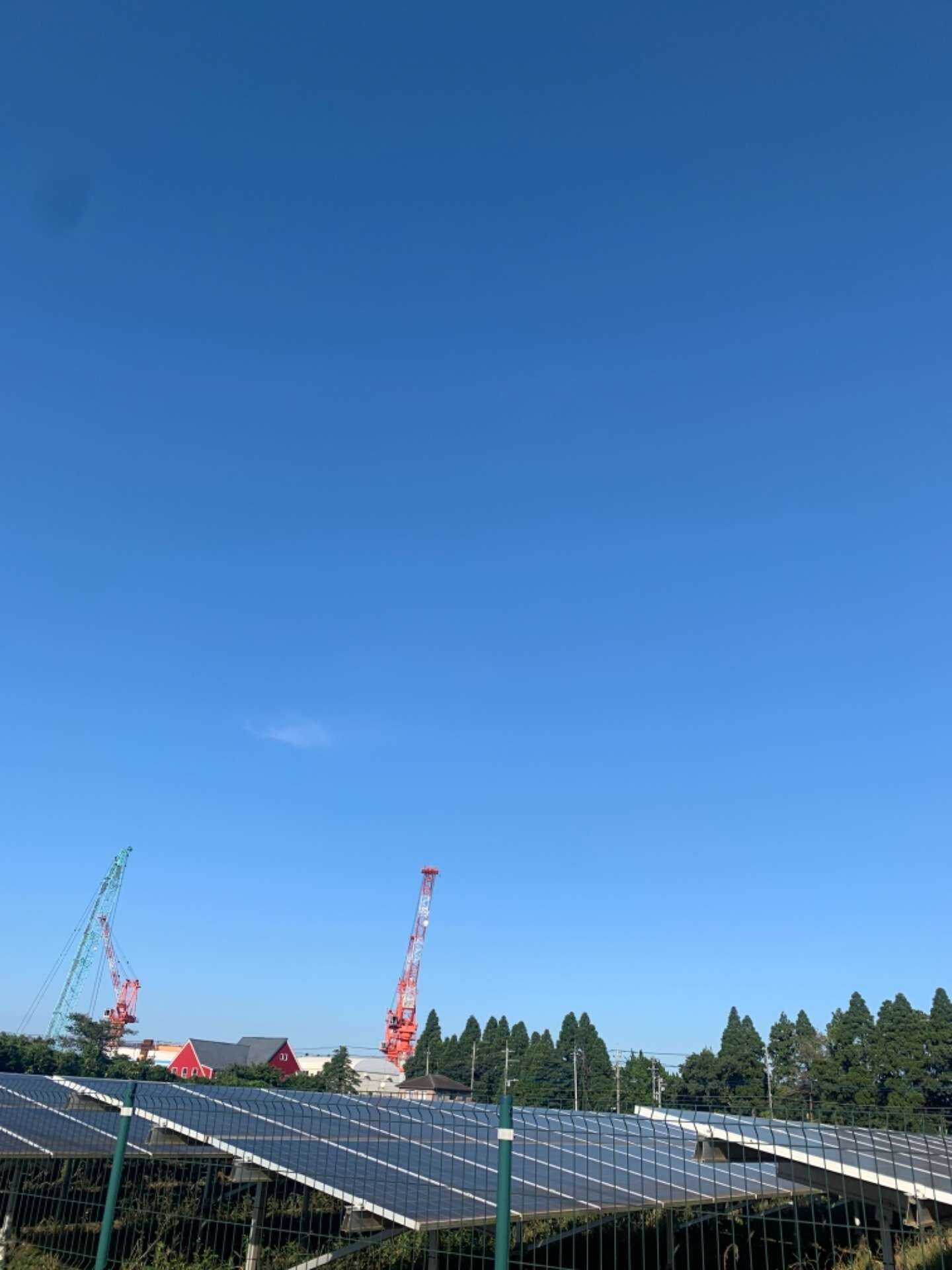 久しぶりの晴天！　　（八街市　運送会社　運転手　助手　事務員　募集中）