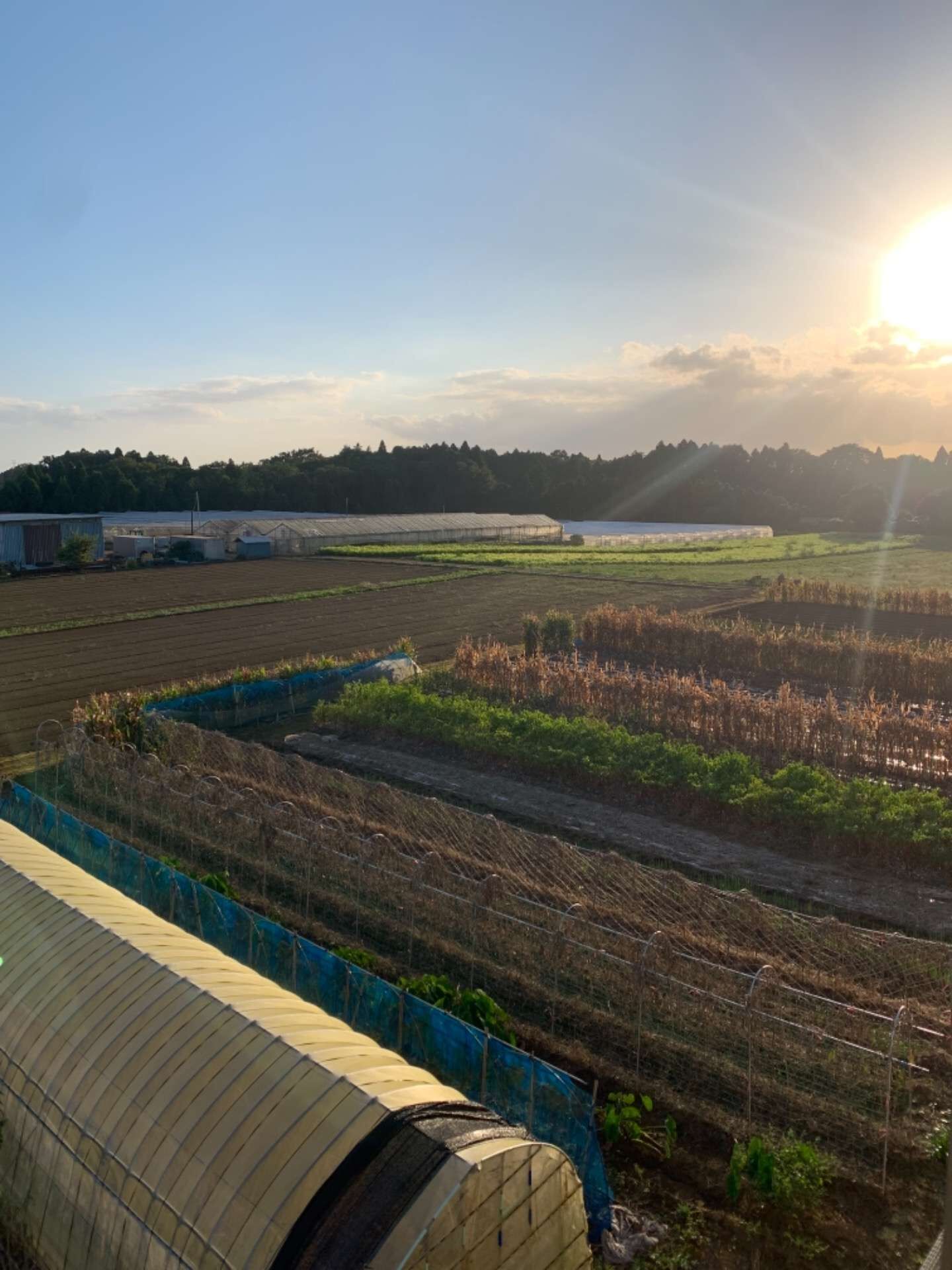 夕刻の空！　（八街市　運送会社　２t4t運転手　助手　募集中）
