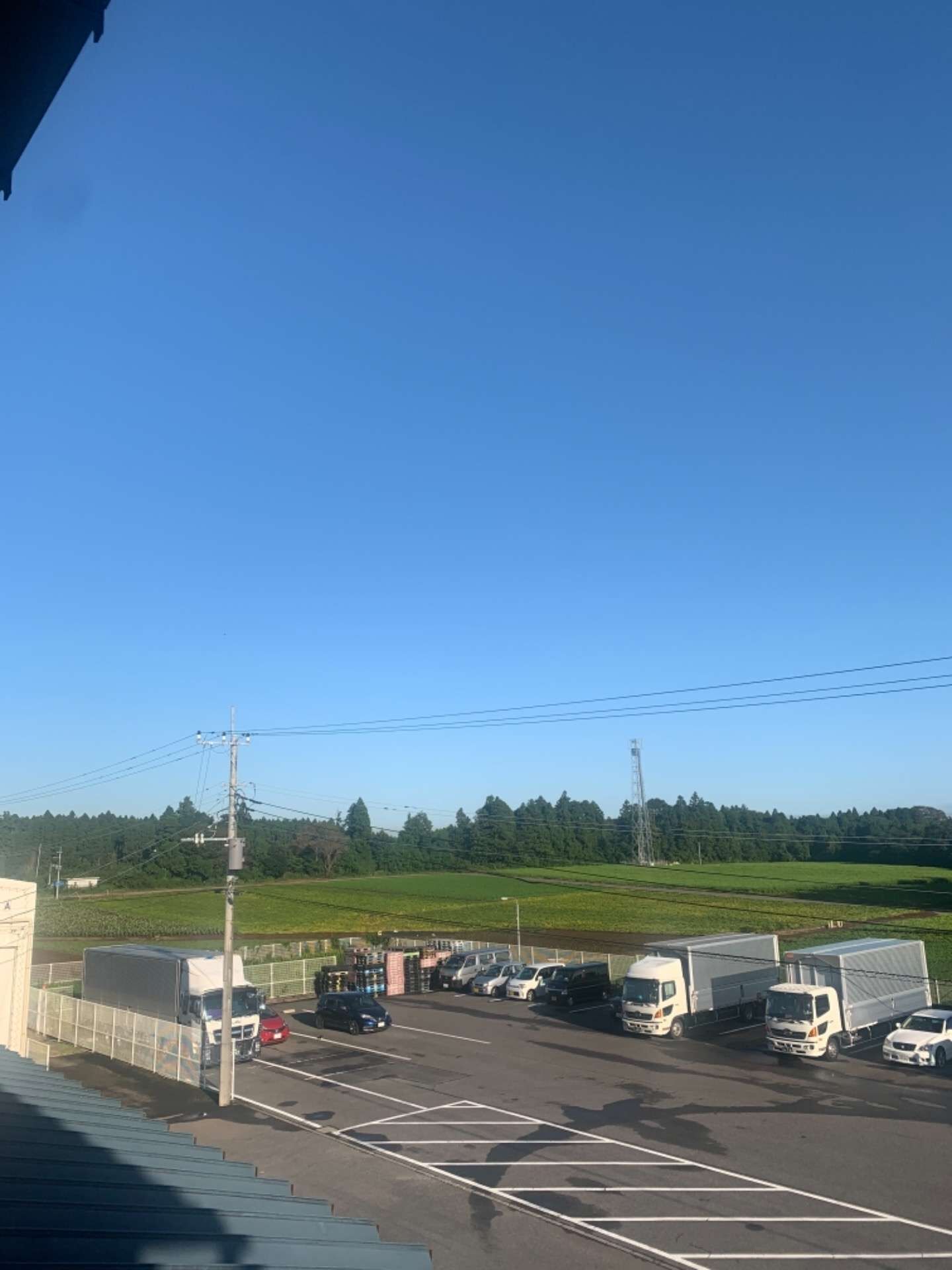 台風一過！　（八街市　運送会社　正社員　バイト　募集中）
