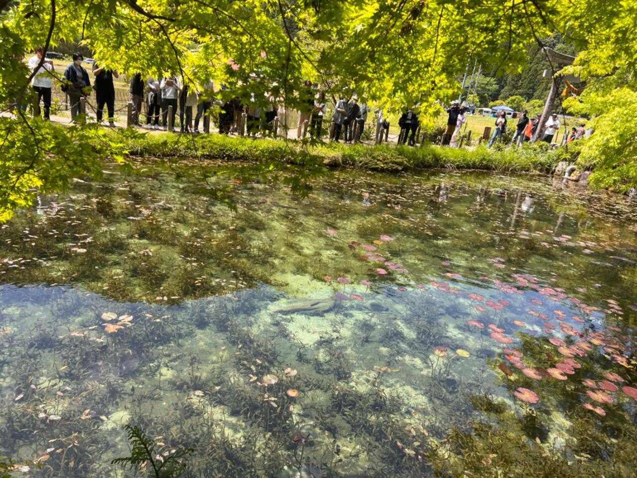 (有)千葉シマダ運輸　（八街の運送会社が正社員とアルバイトを募集しています）